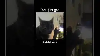 You just got... 4 Dabloons!  #shorts Cat