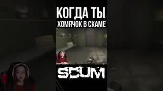 ОСТАНОВИТЕ ЭТОГО ХОМЯКА🐹 #scum #pvp #survival #shorts #выживание #stream #lootopening