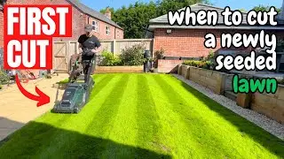 Cutting a Newly Seeded Lawn for the FIRST TIME - It's Looking Amazing!