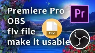 Premiere Pro Doesn't Support OBS default file | Solved