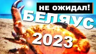 Беляус 2023 🔴ТАКОГО Я НЕ ОЖИДАЛ! закрыт ли пляж Крымские Мальдивы? БУДЬТЕ АККУРАТНЫ! Капитан Крым