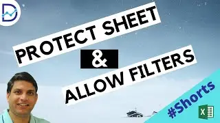 Protect Worksheet but allow Filters