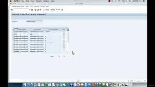 010 Defining Number Ranges for Material Types in SAP MM