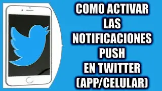 COMO ACTIVAR LAS NOTIFICACIONES PUSH EN TWITTER (APP/CELULAR)