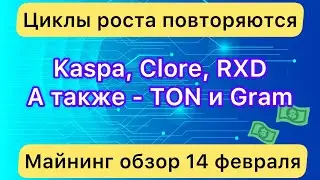 KASPA, CLORE, RXD - ЦИКЛЫ РОСТА ❗️ А ТАКЖЕ GRAМ, TON и ТЕЛЕГРАМ // МАЙНИНГ ОБЗОР 14 ФЕВРАЛЯ