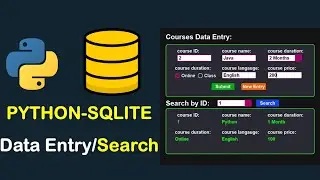 DATA ENTRY FORM PYTHON CUSTOMTKINTER GUI PROJECT WITH SQLITE DATABASE