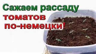 Сажаем рассаду томатов по-немецки. Ответы на частые вопросы