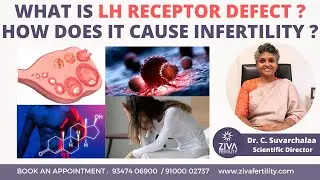 LH Receptor Defect Affect On Fertility | Luteinizing Hormone | Dr C Suvarchalaa | ZIVA Fertility