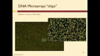 How Does a DNA Microarray Work?