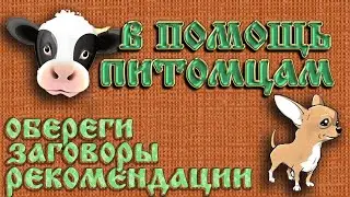 ЗАГОВОРЫ ДЛЯ ЖИВОТНЫХ. ОБЕРЕГИ И НЕ ТОЛЬКО!