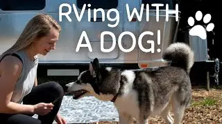 Living in an RV with a Dog! Tips & Tricks | Full Time Airstream Life as a Solo Female Traveler