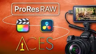 ProRes RAW to Davinci Resolve Workflow - Tutorial