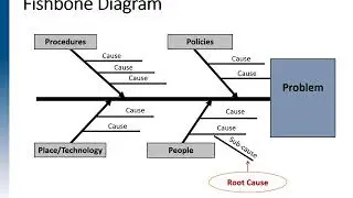 Fishbone Diagram
