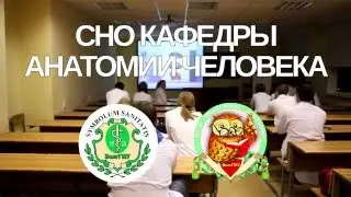 Студенческое научное общество кафедры анатомии человека ВолгГМУ