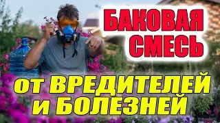 БАКОВАЯ СМЕСЬ СКОР + АКТЕЛЛИК от клеща и мучнистой росы, применяю на не пищевых растениях