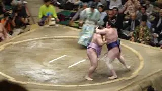 Kotoeko (10-2) - Seiro (6-6) , Sumo : Natsubasho '18