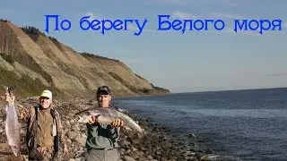 5 июльских дней, тест Солара  Белым морем