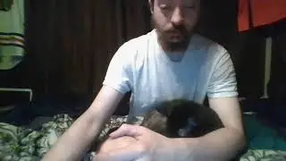 game dev - catstractions