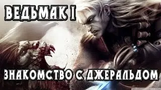 The Witcher. Часть первая. Геральт теряет память и варит сомнительные зелья...