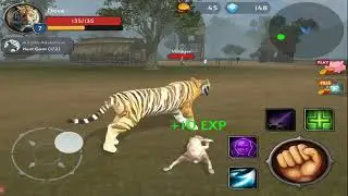 The Tiger - Animal Simulator - By Yusibo Simulator Games #2