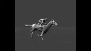 Unreal Engine horse animation test