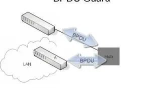 14.  BPDU Guard  Root Guard