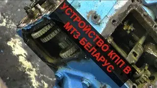 MOTOBLOK MTZ | Gearbox DEVICE | DISASSEMBLY | REPAIR from 