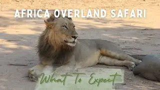 Africa Overland Safari | What to Expect | Absolute Africa