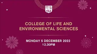 Winter Congregations - D02 5th December 2022