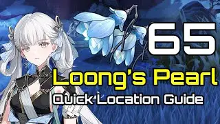 Quick Loongs Pearls Location Guide | Jinhsi Ascension Material | 65 Loongs Pearl | Wuthering Waves