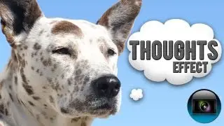 Sony Vegas: Thoughts Effect