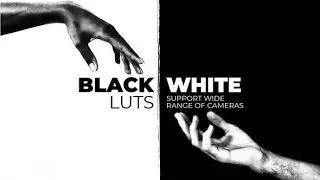 Black and White LUTs for Final Cut Pro Template