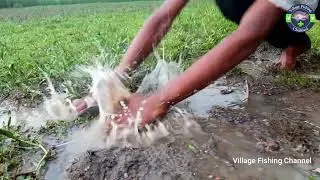 Rainy Day Hand Fishing-Fishing in Rainy Season l Fishing Media