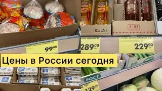 ЦЕНЫ В РОССИИ СЕГОДНЯ НА ПРОДУКТЫ ПИТАНИЯ / МАГАЗИН ЧИЖИК