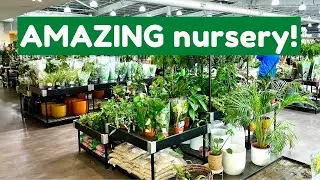 RARE Houseplant Shopping At Dobbies | Look At These Plants!