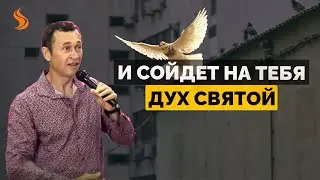 Дмитрий Лео. И сойдет на тебя Дух Святой