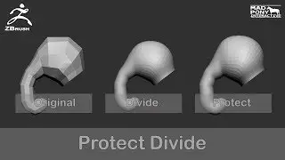 Zbrush - Protect Divide