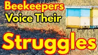 Beekeeping | Beekeepers Reveal Their True Struggles