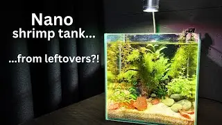 No-filter Shrimp Nano Cube from leftovers! | Step-by-step tutorial