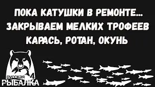 Карась, ротан, окунь. Фарм для новичков. Закрываем трофеев и фармим серебро. Русская рыбалка 4. РР4.