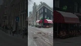 Winter Beauty in Amsterdam