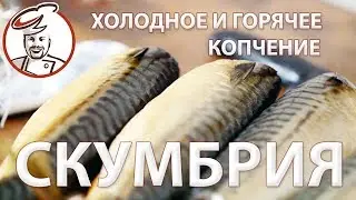 СКУМБРИЯ - холодное или горячее копчение?