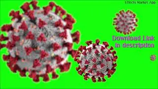 Corona (COVID-19) Green Screen Video