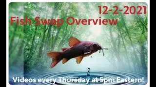 Fish Swap Overview