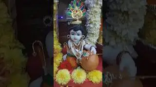 Krishna Janmashtami special