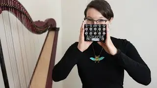 Harp and distortion WITH DRUMS (Empress Heavy)
