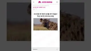 ENTP이랑 해보고 알려준다