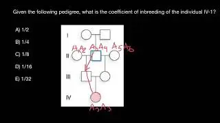 How to calculate inbreeding coefficient