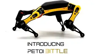 Robot Dog Petoi Bittle - Running on Treadmill