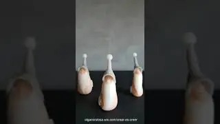 Porcelana fría Olga Miró.